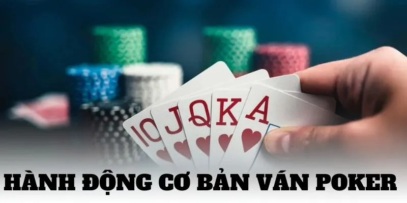 Luật Chơi Poker Mới Nhất Cực Chi Tiết Cho Toàn Bộ Tân Thủ 2025 3 Các hành động cơ bản nhất của một ván cược Poker