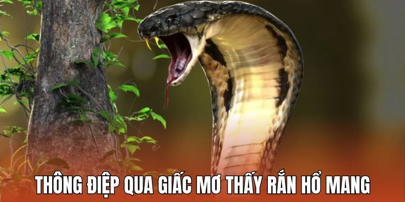 Mơ Thấy Rắn Hổ Mang - Truy Tìm Con Số Thần Bí Cho Lô Thủ 2 Thông điệp gửi gắm qua giấc mơ thấy rắn hổ mang